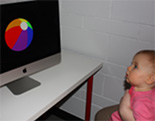 Baby looking at screen