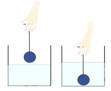 Water Displacement Study